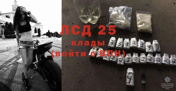ГАЛЛЮЦИНОГЕННЫЕ ГРИБЫ Струнино
