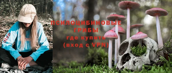 Альфа ПВП Ступино