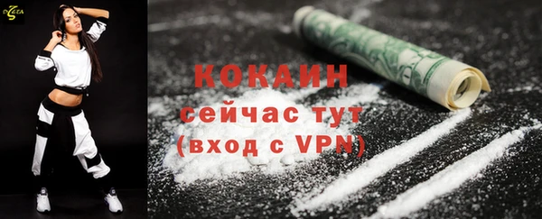 сатива Жердевка
