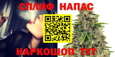 трава Ставрополь