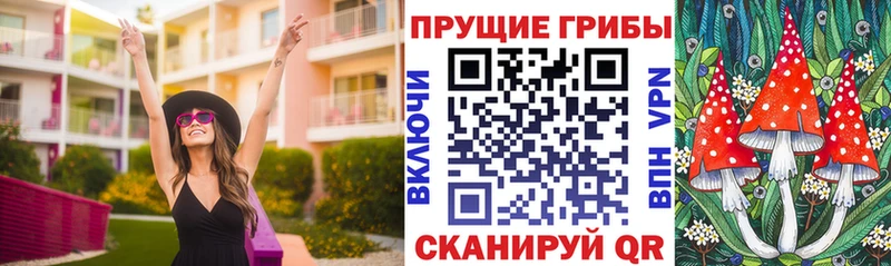 Псилоцибиновые грибы Psilocybe  Бирск 