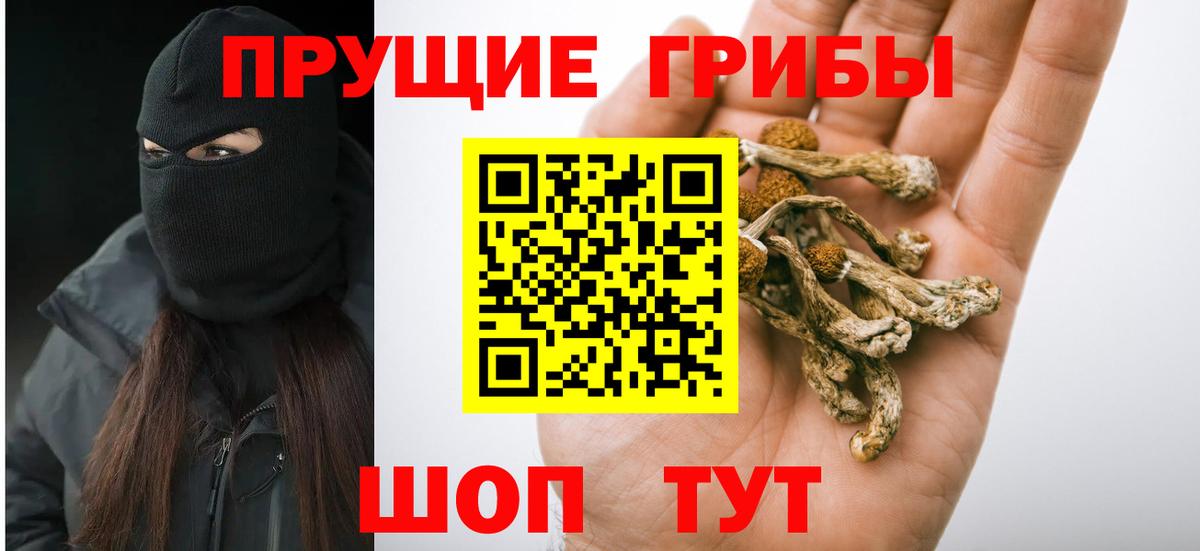 Псилоцибиновые грибы GOLDEN TEACHER Бирск